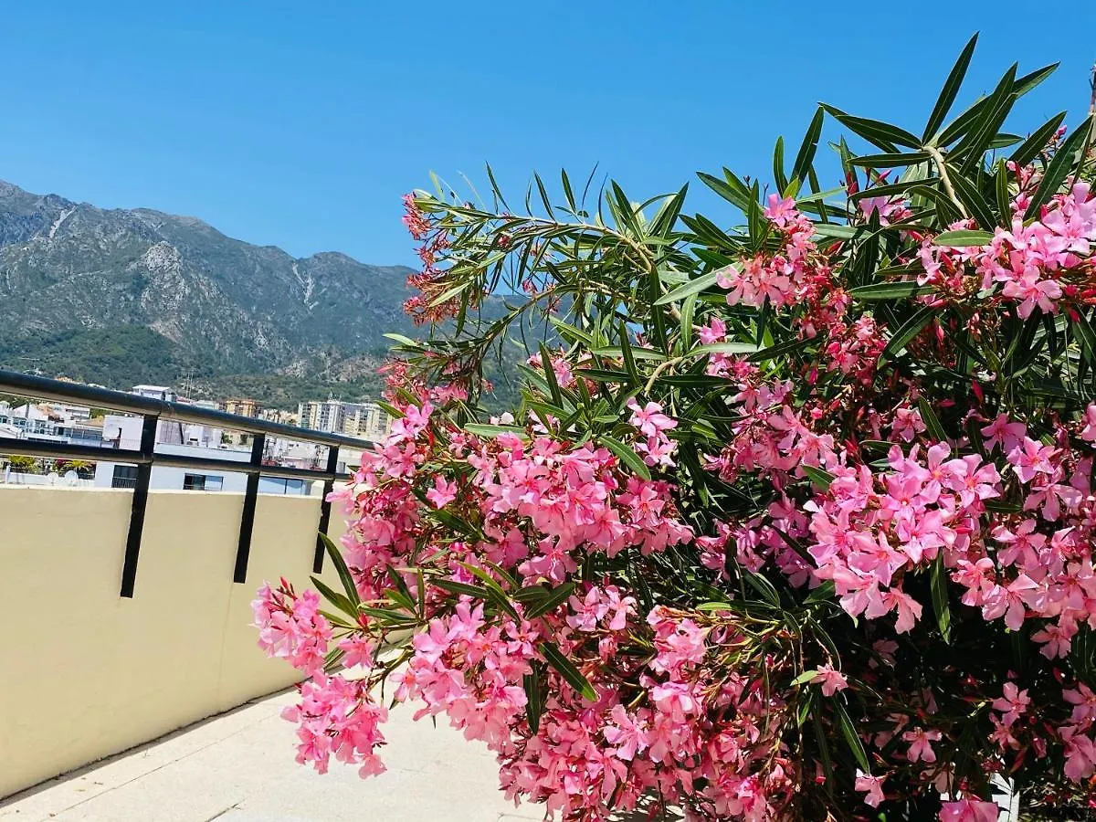 First Line! Art-Apartment On The Seafront Of Marbella With Swimming Pool Appartement